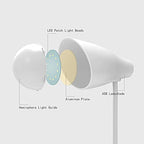 Pen & Mobile holder study lamp